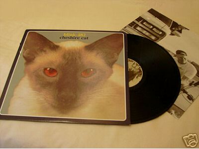 popsike.com - Blink 182 | CHESHIRE CAT rare VINYL LP red eyes cat