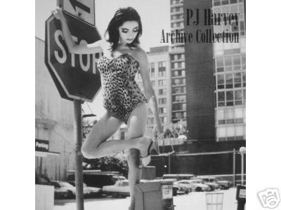 popsike PJ Harvey Archive Set 35 Live Shows All B Sides