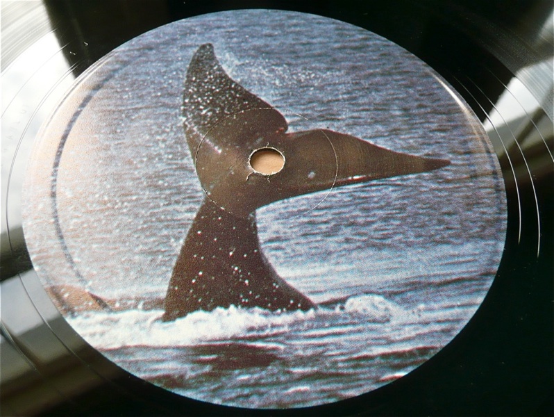 John Tavener The Whale Rare 70s Ringo Issue Nr Mint Auction Details