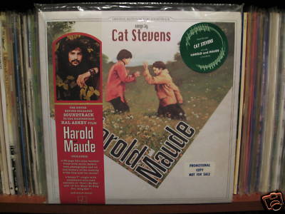 cat stevens harold and maude
