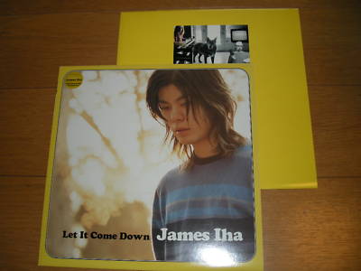 未使用LP James Iha Let It Come Down ジェームスイハ | ncdc-gkp.in