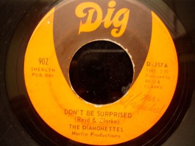 popsike.com - THE DIAMONETTES Don't Be Surprised DIG MIAMI DEEP