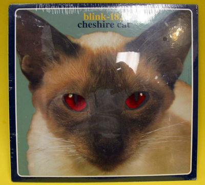popsike.com - BLINK 182 ''Cheshire Cat'' 1996 'Red Eye' LP - Still 