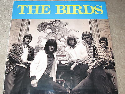 the birds band