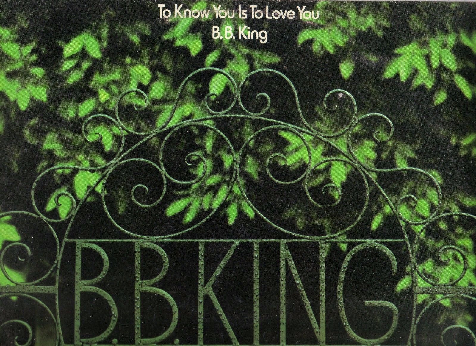 B. B. King To Know You Is To Love.. - 通販 - Gofukuyasan.com