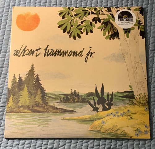 Albert Hammond, Jr. - Yours To Keep レコードUSオリジナル - 洋楽
