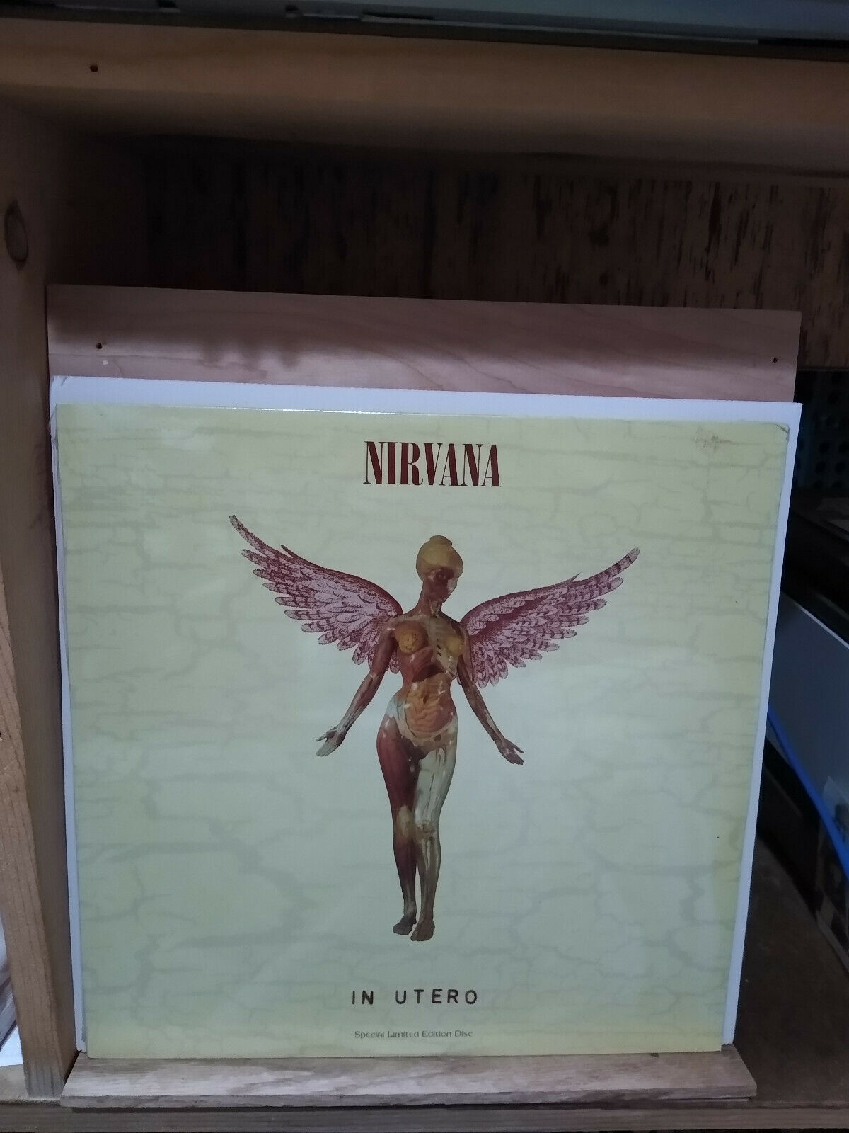 popsike.com - Nirvana In Utero Spec Limited Edition LP UPC